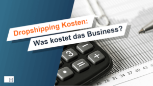 Kosten Dropshipping