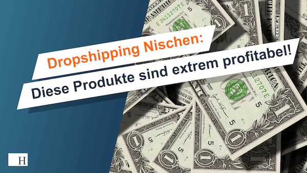 Dropshippingnischen